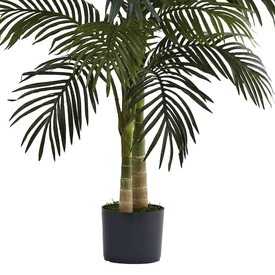 4ft. Potted Golden Cane Palm Tree